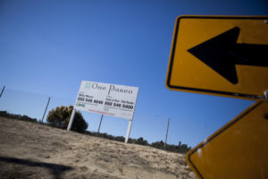 Photo by Sam Hodgson