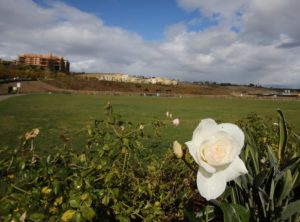 Photo by Jamie Scott Lytle