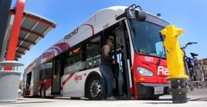 Photo by Jamie Scott Lytle