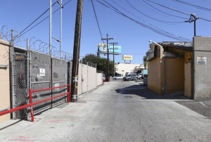 Photo by Jamie Scott Lytle