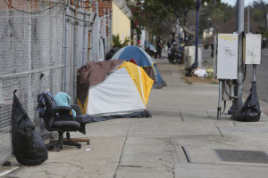 Photo by Jamie Scott Lytle