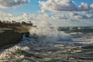 Photo by Matthew Baldwin