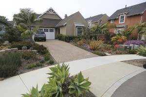 Photo by Jamie Scott Lytle