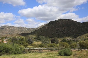 Photo by Jamie Scott Lytle