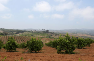 Photo by Jamie Scott Lytle