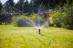 Image via Shutterstock