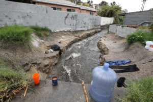 Photo by Jamie Scott Lytle