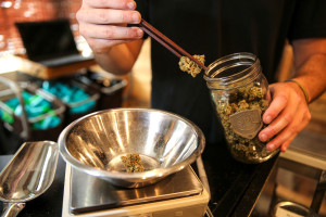 Photo by Jamie Scott Lytle