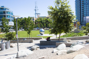 Photo by Adriana Heldiz