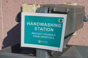 Photo by Adriana Heldiz