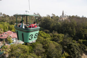 Photo by Sam Hodgson